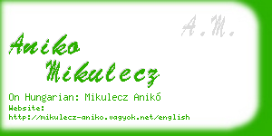 aniko mikulecz business card