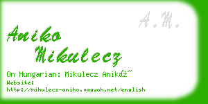 aniko mikulecz business card